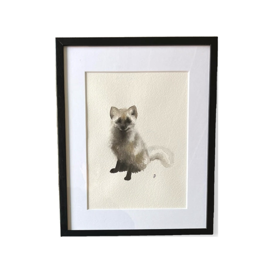 Fjällräv i pälsbyte II