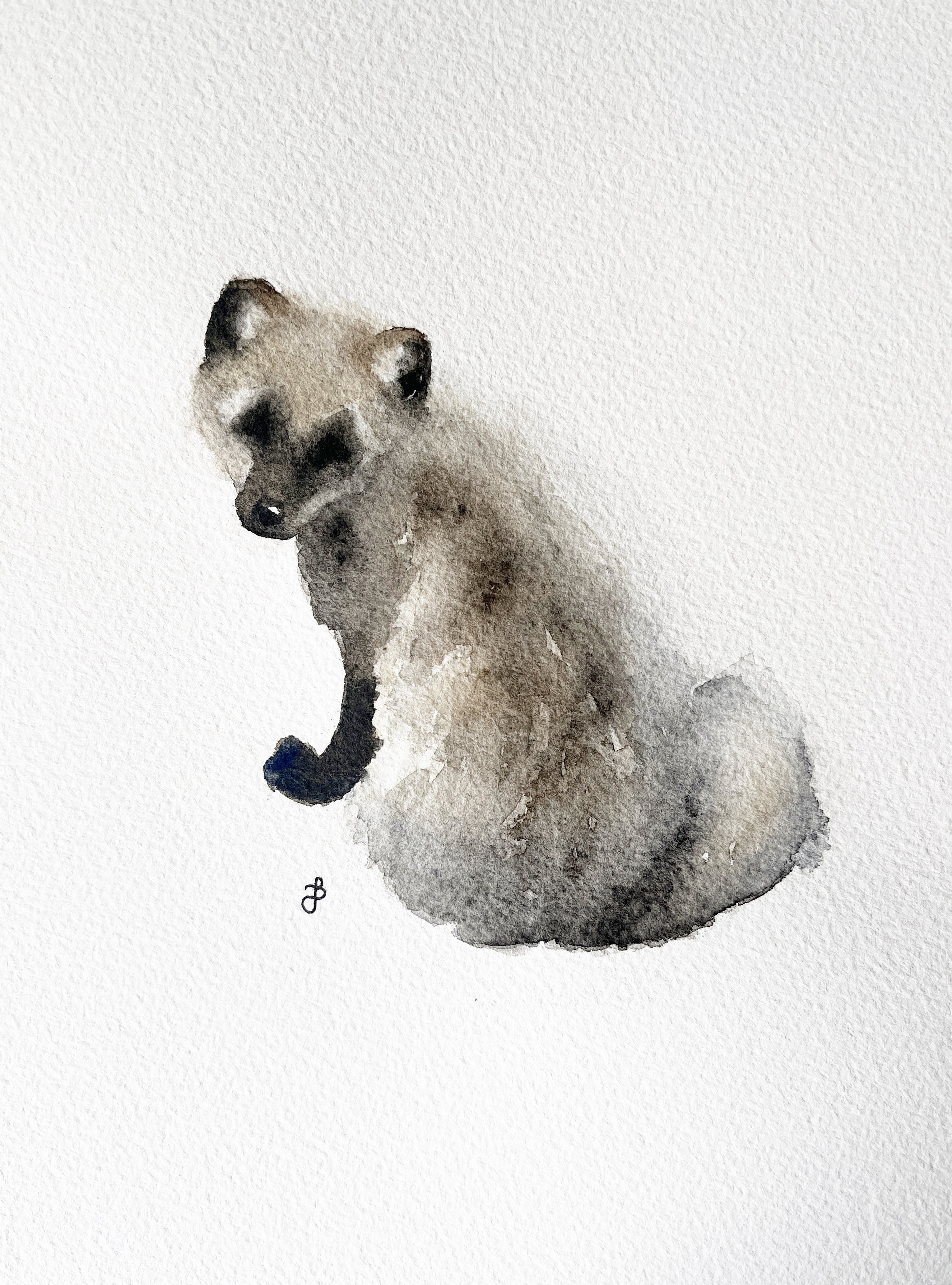 Fjällräv i pälsbyte I