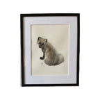 Fjällräv i pälsbyte I