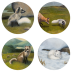 Glasunderlägg fjällräv