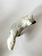 Fjällräv i pälsbyte - papier maché